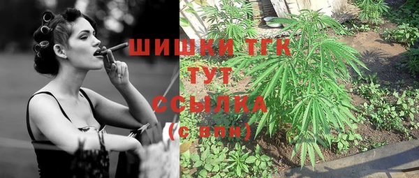 тгк Богданович