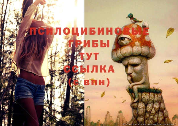 круглые Сатка
