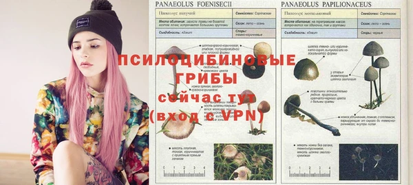 круглые Сатка