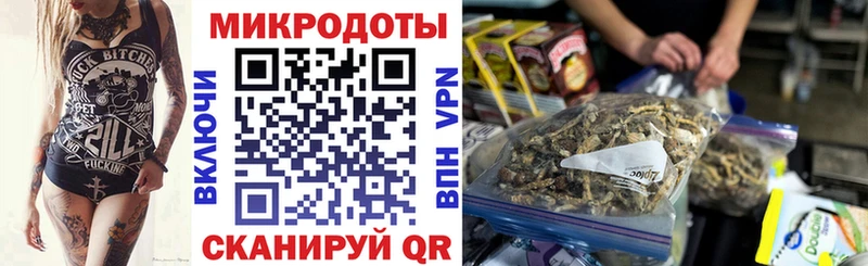 наркота  Суджа  кракен   Галлюциногенные грибы Psilocybine cubensis 